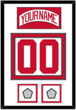 Detroit Nameplate & Number (Back) With 2 Stanley Cup Finals Patches - Road White (2007-2017) - Double Mat 1