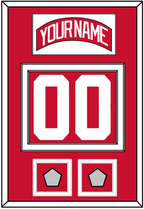 Detroit Nameplate & Number (Back) With 2 Stanley Cup Finals Patches - Home Red (2007-2017) - Double Mat 1