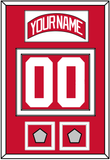 Detroit Nameplate & Number (Back) With 2 Stanley Cup Finals Patches - Home Red (2007-2017) - Double Mat 1