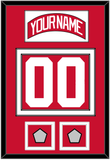 Detroit Nameplate & Number (Back) With 2 Stanley Cup Finals Patches - Home Red (2007-2017) - Double Mat 1