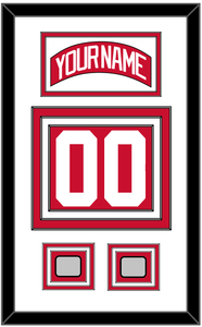 Detroit Nameplate & Number (Back) With 2 Stanley Cup Finals Patches - Home Red (2007-2017) - Triple Mat 1