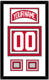 Detroit Nameplate & Number (Back) With 2 Stanley Cup Finals Patches - Home Red (2007-2017) - Triple Mat 1