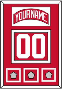 Detroit Nameplate & Number (Back) With 3 Stanley Cup Finals Patches - Road Red (1997-2007) - Double Mat 1