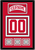 Detroit Nameplate & Number (Back) With 3 Stanley Cup Finals Patches - Home White (1997-2007) - Triple Mat 1