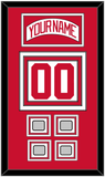 Detroit Nameplate & Number (Back) With 4 Stanley Cup Finals Patches - Home White (1997-2007) - Triple Mat 1