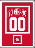 Detroit Nameplate & Number (Back) Combined With Stanley Cup Finals Patch - Home Red (2007-2017) - Double Mat 1