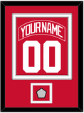 Detroit Nameplate & Number (Back) Combined With 2008 Stanley Cup Champions Patch - Home Red (2007-2017) - Double Mat 1