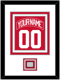 Detroit Nameplate & Number (Back) Combined With 2008 Stanley Cup Champions Patch - Home Red (2007-2017) - Triple Mat 1