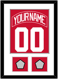 Detroit Nameplate & Number (Back) Combined With 2 Stanley Cup Finals Patches - Home Red (2007-2017) - Single Mat 1