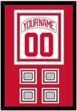 Detroit Nameplate & Number (Back) Combined With 4 Stanley Cup Finals Patches - Home White (1997-2007) - Triple Mat 1