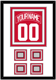 Detroit Nameplate & Number (Back) Combined With 4 Stanley Cup Finals Patches - Home Red (2007-2017) - Triple Mat 1