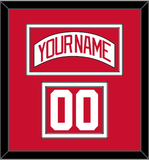 Detroit Nameplate & Number (Shoulder) - Road White (2007-2017) - Double Mat 1