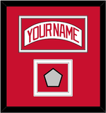 Detroit Nameplate & Stanley Cup 2008 Champions Patch - Road White (2007-2017) - Double Mat 1