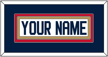 Florida Nameplate - Road White (2017-2020) - Signature Tier 4