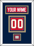 Florida Nameplate, Number (Back) & Back To Back Stanley Cup Champions Patch - Home Red - Triple Mat 3