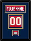 Florida Nameplate, Number (Back) & Back To Back Stanley Cup Champions Patch - Home Red - Triple Mat 3