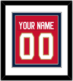 Florida Nameplate & Number (Back) Combined - Home Red - Double Mat 1