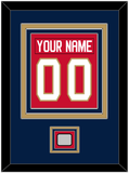 Florida Nameplate & Number (Back) Combined, With Stanley Cup Champions Patch - Home Red - Triple Mat 3