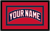 Florida Nameplate - Home Blue (2003-2006) - Double Mat 3