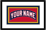 Florida Nameplate - Home Blue (2003-2006) - Triple Mat 1