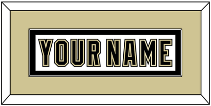 Pittsburgh Nameplate - White Jersey (2002-2007) - Essential Tier 2