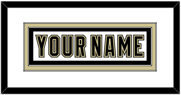 Pittsburgh Nameplate - White Jersey (2002-2007) - Double Mat 1