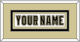 Pittsburgh Nameplate - White Jersey (2002-2007) - Double Mat 2