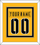 Pittsburgh Nameplate & Number (Back) Combined - 2017 Stadium Series Gold - Double Mat 2