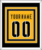 Pittsburgh Nameplate & Number (Back) Combined - 2017 Stadium Series Gold - Triple Mat 2