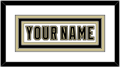 Pittsburgh Nameplate - White Jersey (2002-2007) - Premier Tier 1