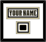 Pittsburgh Nameplate & Logo Patch - White Jersey (2002-2007) - Triple Mat 1