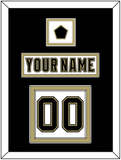 Pittsburgh Nameplate, Number (Back) & Logo Patch - White Jersey (2002-2007) - Double Mat 2