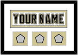 Pittsburgh Nameplate & 2009, 2016 & 2017 Stanley Cup Finals Patches - Road White (2007-2016) - Single Mat 1