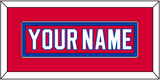 Washington Nameplate - Alternate Red (2018-2020) - Single Mat 2