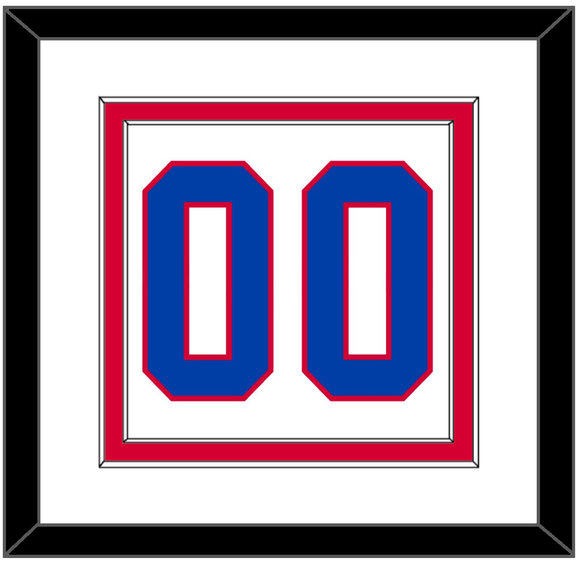 Washington Number (Back) - 2011 Winter Classic White - Double Mat 1