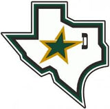 Dallas Nameplate & Number (Shoulder) With Stanley Cup Finals & Team Logo Patches - Alternate Green (1997-1999) - Double Mat 2