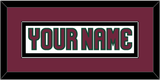 Arizona Nameplate - Road White - Single Mat 5