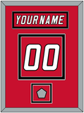 Carolina Nameplate & Number (Back) With Stanley Cup Finals Patch - Home Red (2000-2007) - Double Mat 2